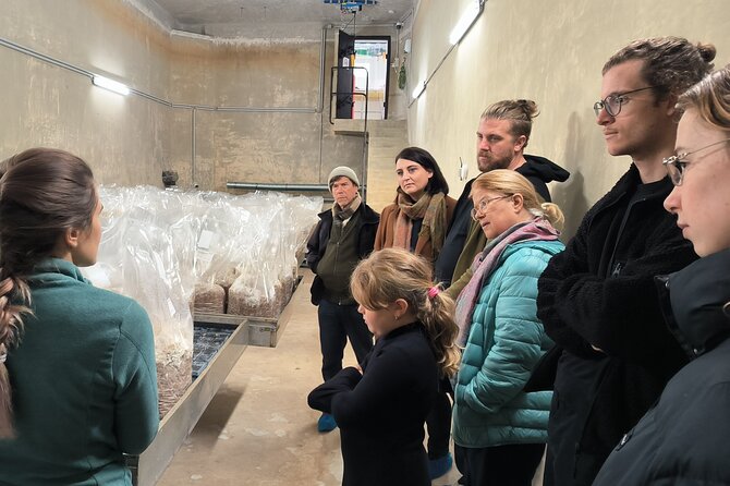 Discover the World of Mushrooms - Visiting Zurich’s Hidden Mushroom Farm in an Old Water Reservoir