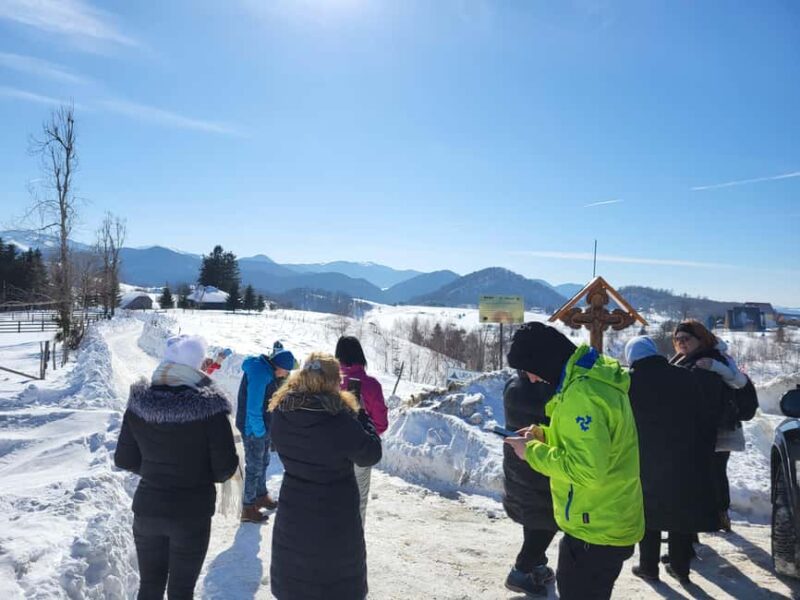 Discover Transylvania: Bran Castle & BV Day Trip from Sibiu - Discovering Braovs Old Town Charm