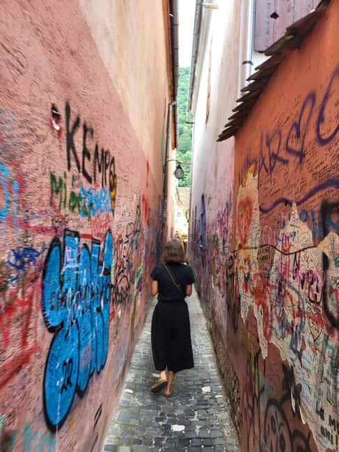 Discover Transylvania: Bran Castle & BV Day Trip from Sibiu - Practical Details: Logistics and Group Size