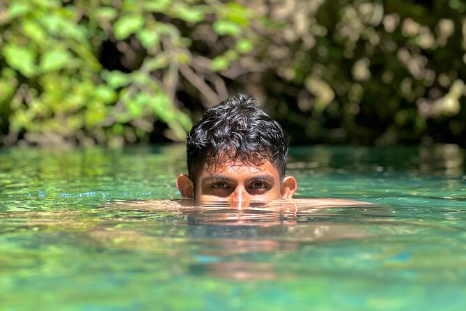 Discover Valencia's Magical Nature - Discover Valencia’s Natural Wonders with an Enthusiastic Guide