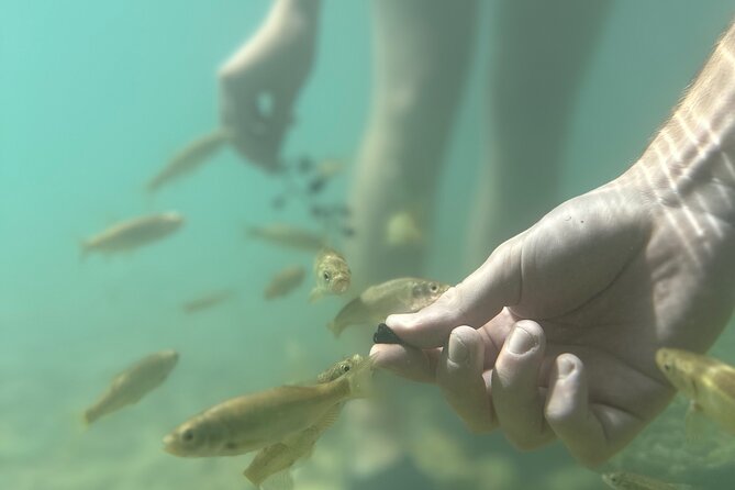 Discover Valencia's Magical Nature - The Lush Crystal Gorge: Swimming and Thrills
