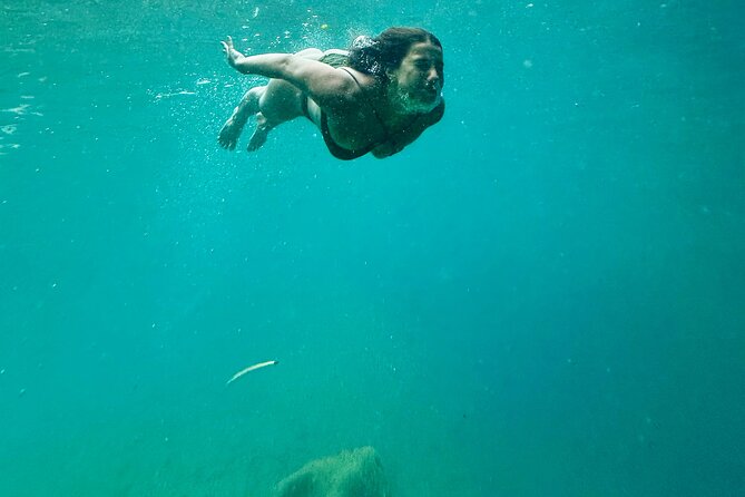 Discover Valencia's Magical Nature - Authentic Spanish Lunch in Bocairent