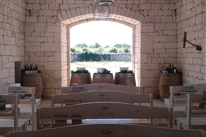 Discover Valle d 'Itria and its wines by ebike - Visiting the historic dry stone walls and rural districts