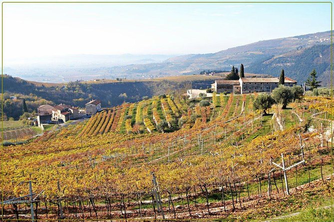 Discover Valpolicella Vineyards and Wine Tasting Experience - The View from the Terrace: Breathtaking Scenery