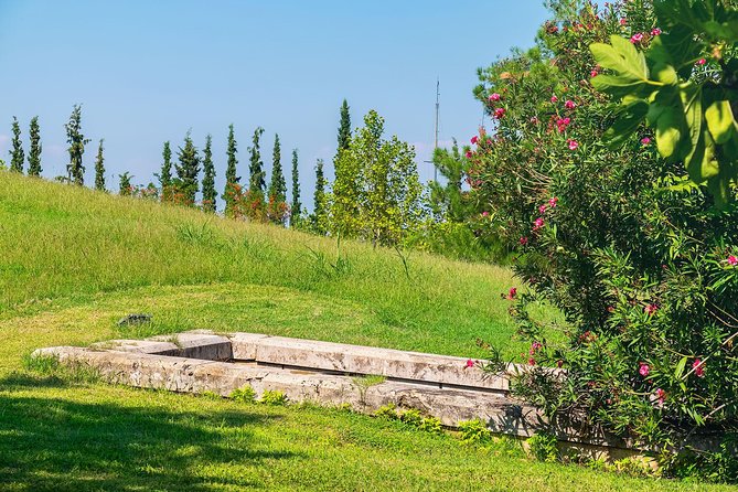 Discover Vergina and Pella: Day Trip to Macedonian Kingdom - The Role of Guides and Tour Attendants