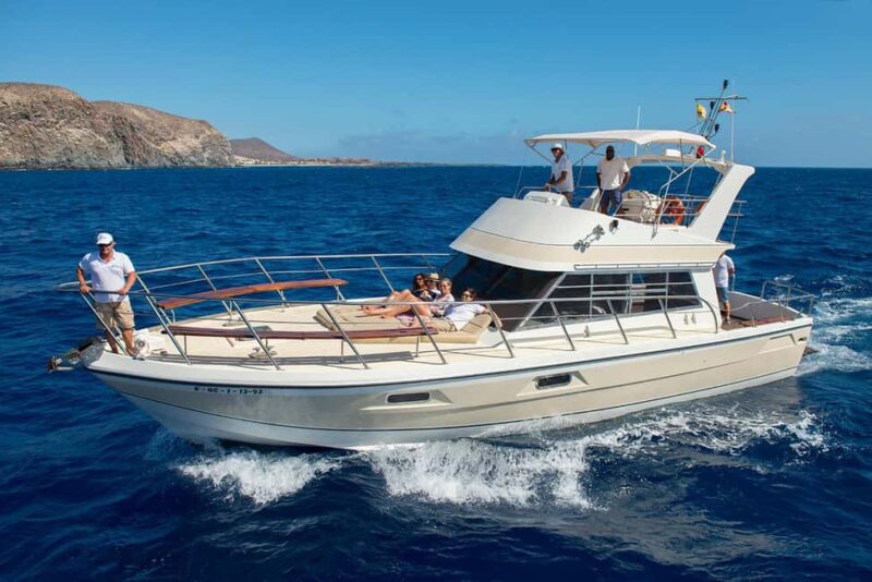 Discover whales in Tenerife: exclusive yacht tour with swim and lunch - Navigating Tenerife’s Rich Biodiversity