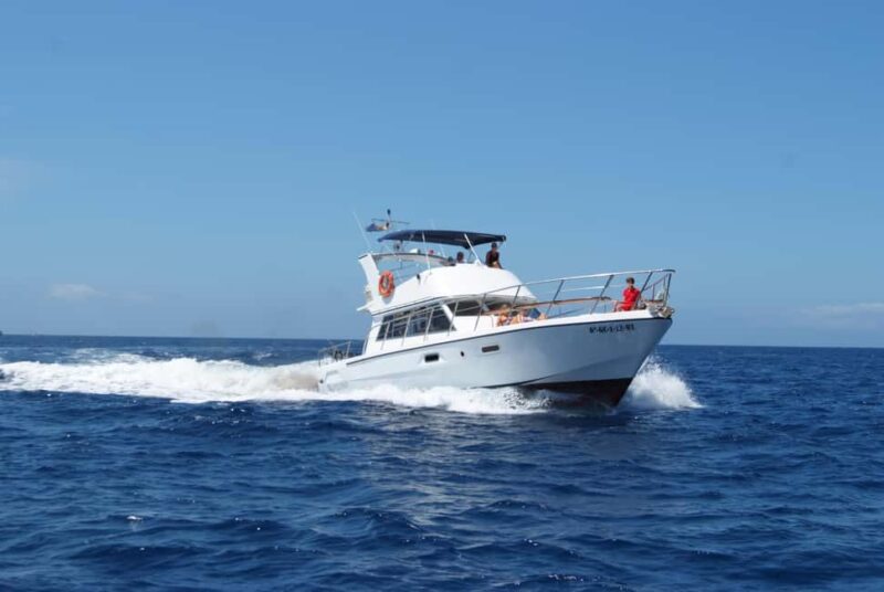 Discover whales in Tenerife: exclusive yacht tour with swim and lunch - Midway Stop for Swimming in Pristine Waters