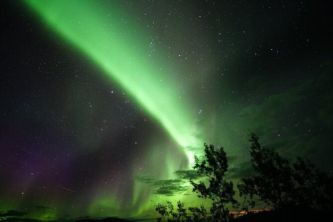 Discover Whitehorse with Northern Lights and Yukon Wildlife Tour - Optional Day Activities and Leisure Time