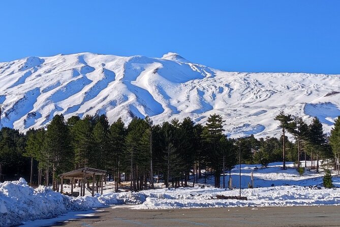 Discover Your Sicilian Roots: Personalized Tour - Cultural and Historical Highlights Along the Route