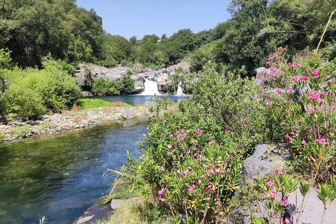 Discover Your Sicilian Roots: Personalized Tour - Who Will Appreciate This Tour?