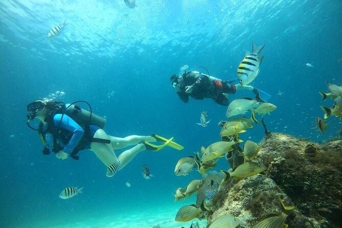 Discovering Diving in Chankanaab Park - Key Points