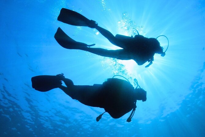 Discovering Diving in Chankanaab Park - Discovering the Underwater Caves and Thermocline Phenomenon