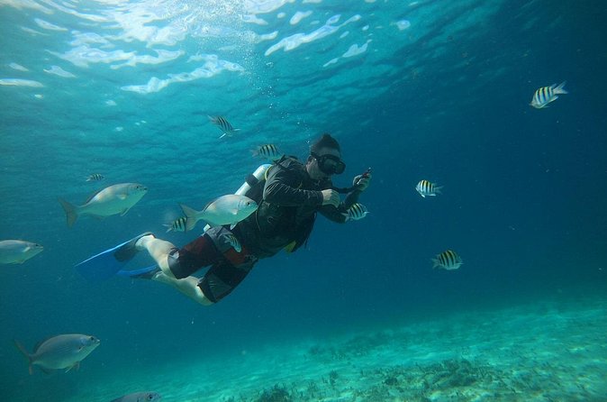 Discovering Diving in Chankanaab Park - The Statue of Christ and Virgin: Artistic Marine Landmarks
