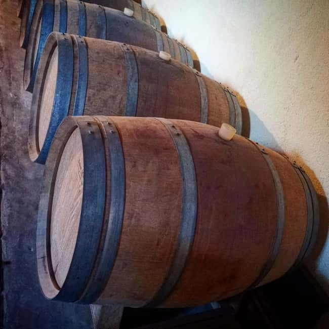 Discovering Dogliani and the territories of Alta Langa - What Sets This Tour Apart from Others