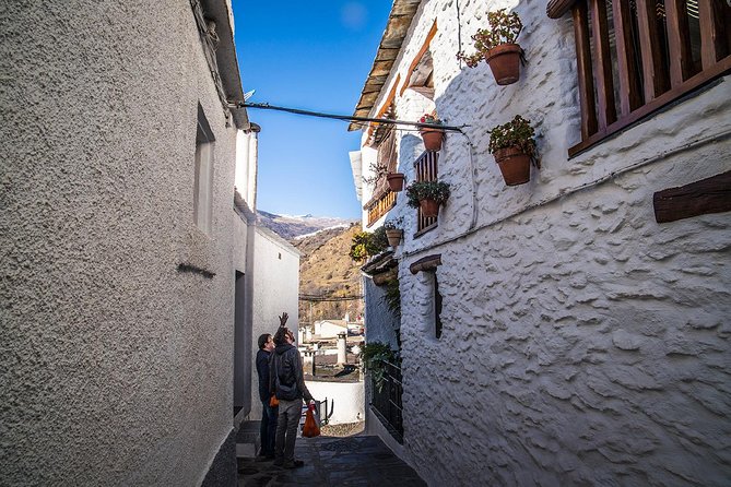 Discovering Las Alpujarras, departures from Málaga /Semi-Private - Scenery and Landscape Along Winding Roads