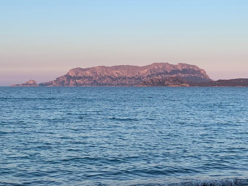 Discovering Mortorio Island with Capelli 6 met. All incl. - Discovering Mortorio Island with Capelli 6 Met. All Incl.: An Excursion for Maritime Enthusiasts