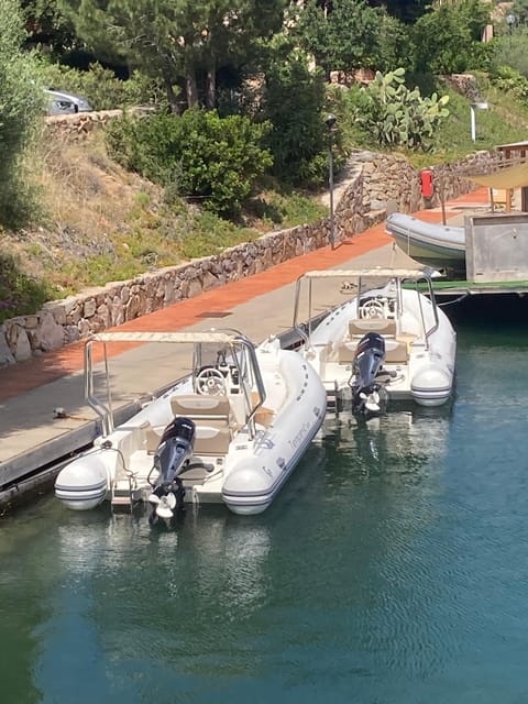 Discovering Mortorio Island with Capelli 6 met. All incl. - What the Itinerary Includes: From Marina to Mortorio and Beyond