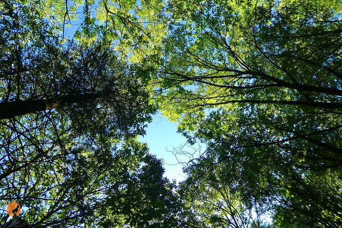 Discovering Nature in Serra da Lousã - The Experience of Wildlife Spotting with Expert Guides