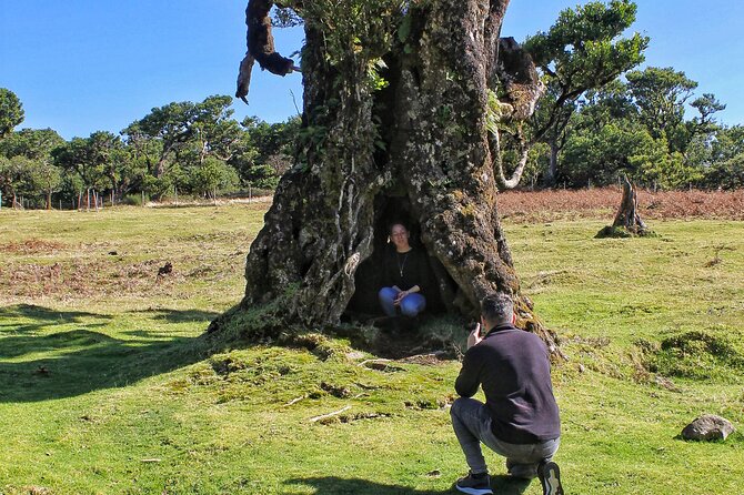 Discovering Northwest Madiera Shore Excursion w/ Harbour pickup - Seixal’s Black Sand Beach and Relaxing Atmosphere
