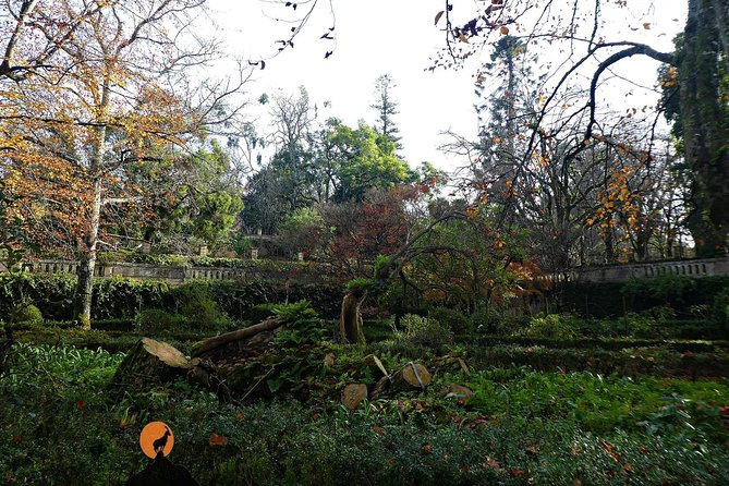 Discovering the charms and places of Coimbra - Exploring the Old Walled City and Its Mysteries