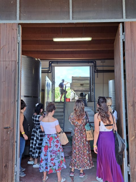 Discovering the mystery grape varieties - Arrival at La Sabbiona in Emilia-Romagna