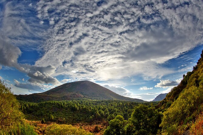 Discovering the Vesuvius - VIP tour / Small group - Key Points