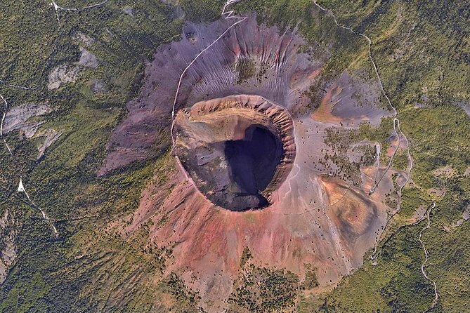 Discovering the Vesuvius - VIP tour / Small group - Ease and Flexibility of the Tour Experience