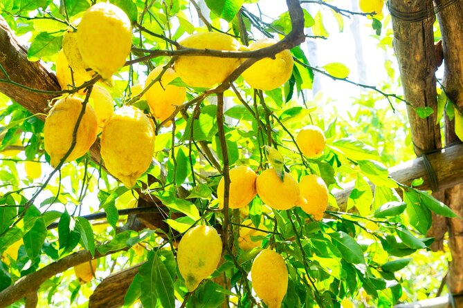 Discovering the Wonders of Sorrento Coast from Naples Small Group - Practical Aspects: What’s Included and What to Expect