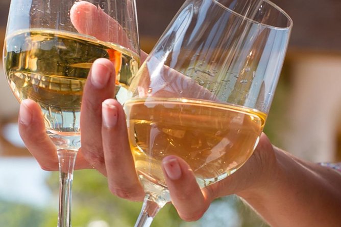 Discovery and Tasting of Biodynamic Wine in Alsace - Explore Biodynamic Wine in Alsace for $21.90