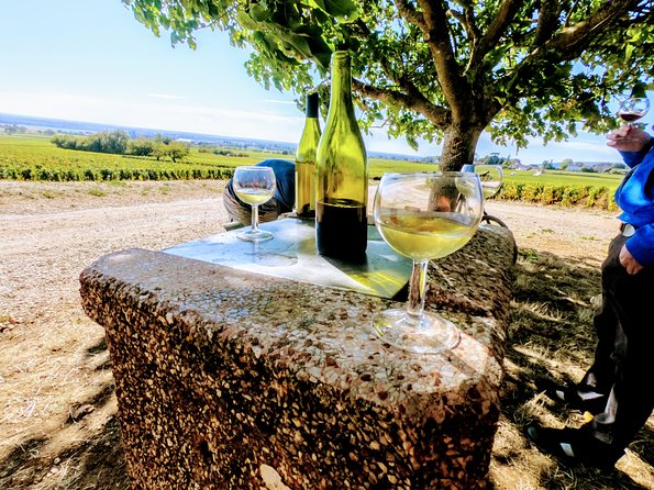 Discovery by bike & Tasting in the vineyards - Logistics and Practicalities