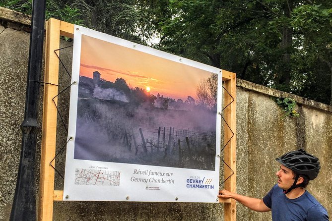 Discovery by bike & Tasting in the vineyards - Best For: Outdoor Enthusiasts & Food Lovers