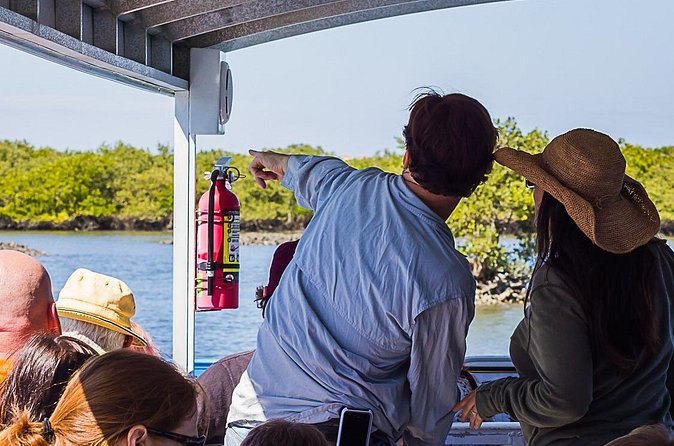 Discovery Dolphin Boat Tour - Expert Guides: Knowledgeable and Friendly Naturalists