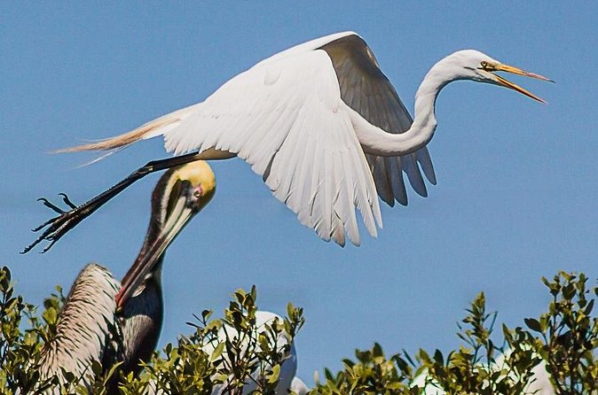 Discovery Dolphin Boat Tour - Tour Logistics: Comfortable Boats and Family-Friendly Atmosphere