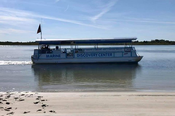 Discovery Dolphin Boat Tour - Pricing and Value for Money