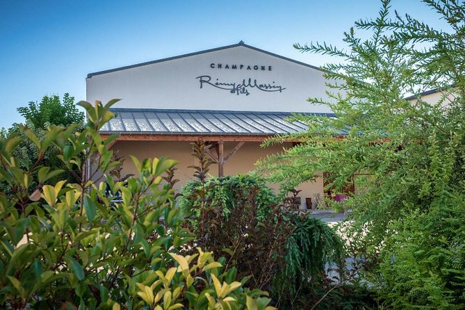 Discovery of a Champagne from Vintner, from the cellar to the tasting - Key Points