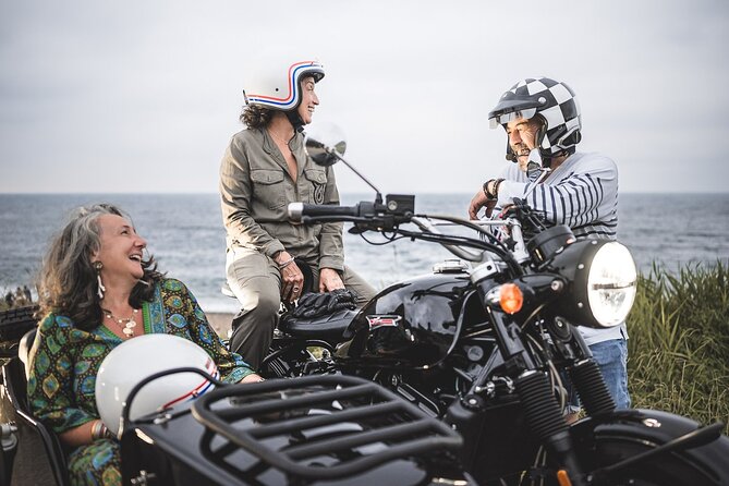 Discovery of the Basque Country by sidecar with private driver - Wildlife Sightings and Animal Encounters on the Route