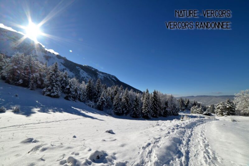 Discovery of the snowy Vercors in snowshoes - Discover the Snowy Vercors with Snowshoes