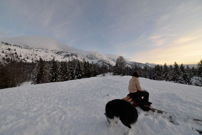 Discovery of the snowy Vercors in snowshoes - Physical Requirements and Accessibility