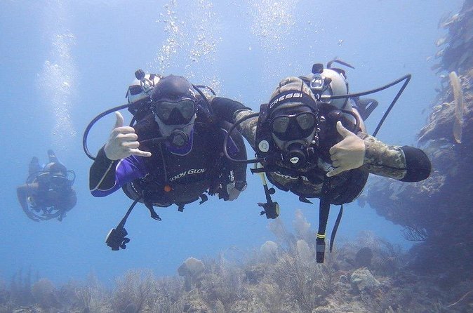 Discovery Scuba Dive. - Equipment and Rental Options