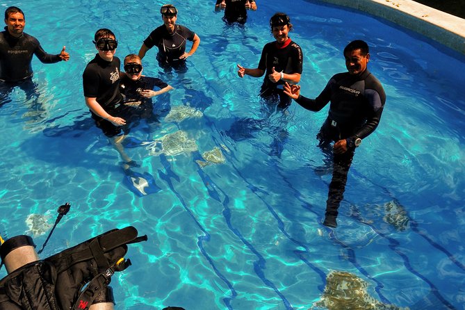 Discovery Scuba Diving !! - How the Tour Ensures Safety for Novice Divers