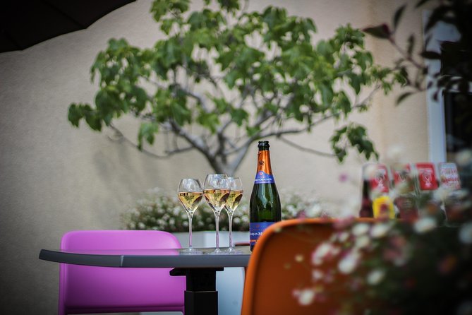 Discovery tour (2 tastings) - Discover Champagne Charles Mignon for an Authentic Champagne Experience