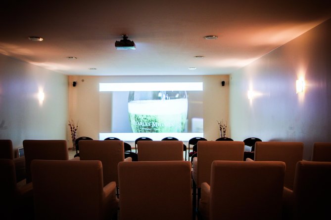 Discovery tour (2 tastings) - Two Generous Champagne Tastings Included