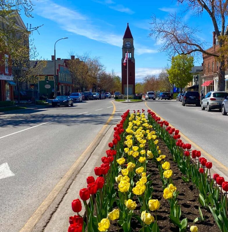 Discovery Tour: From Niagara Falls to Niagara-on-the-Lake - Floral Clock and Look Off Over the Niagara River
