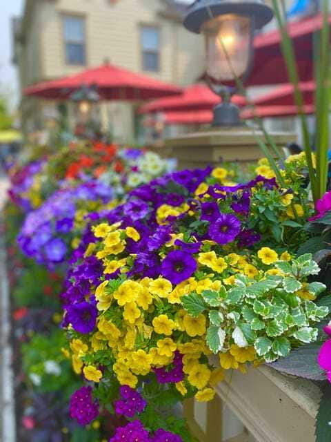 Discovery Tour: From Niagara Falls to Niagara-on-the-Lake - Why Choose This Tour in Niagara