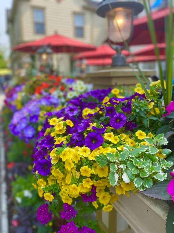 Discovery Tour: From Niagara Falls to Niagara-on-the-Lake - Frequently Asked Questions