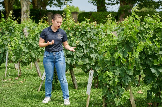 Discovery Tour of Château Haut Breton Larigaudière - Key Points