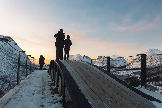 Discovery tour of the island of Senja and Kvaløya from Tromsø - The Guide and Group Size: Personalized and Knowledgeable