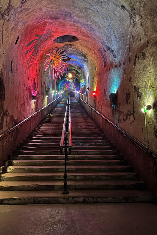 Discovery Tour Reims and Epernay - Practical Details and Logistics