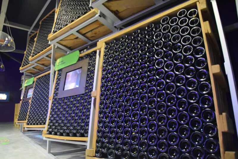 Discovery tour - The Sacrée Vigne Sound and Light Show