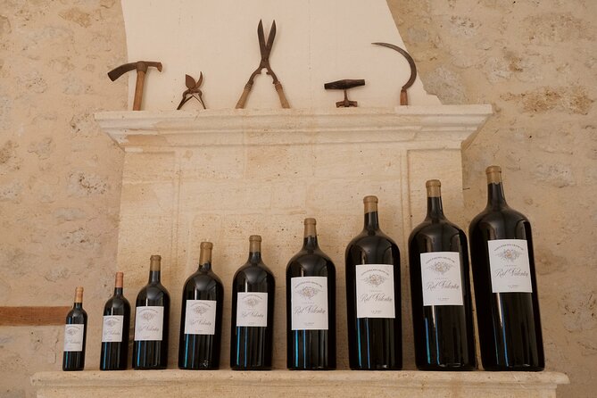 Discovery visit of Château Rol Valentin with tasting - Modern Cellar Design and Location in Saint-Emilion Hills